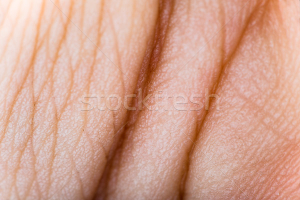 Close up human skin. Macro epidermis  Stock photo © deyangeorgiev