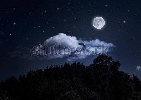Night starry sky and moon over the mountain Stock photo © deyangeorgiev
