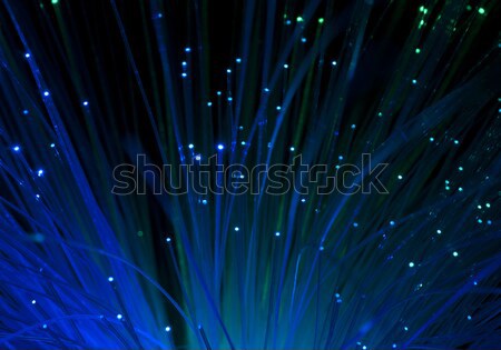 Optical fibers Stock photo © deyangeorgiev