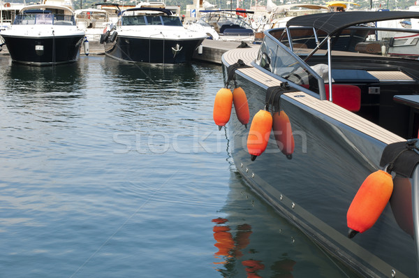 Anchored yachts in St. Tropez  Stock photo © deyangeorgiev