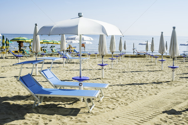 Sunbeds and umbrellas on the beach Stock photo © deyangeorgiev