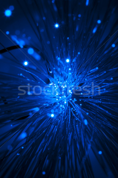 Optical fibers Stock photo © deyangeorgiev