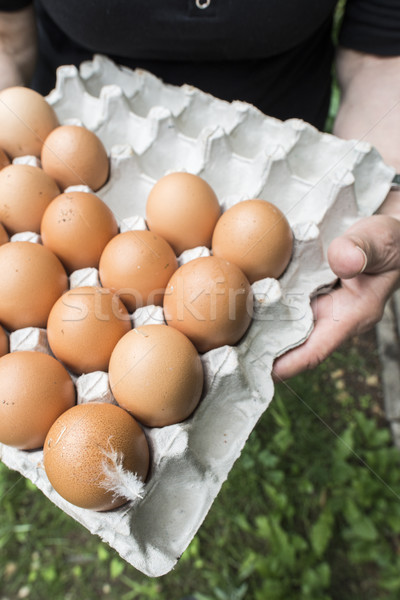 Yumurta kâğıt paketleme tüy bir eller Stok fotoğraf © deyangeorgiev