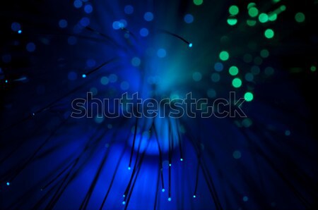 Optical fibers  Stock photo © deyangeorgiev