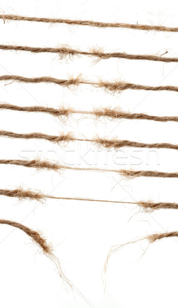 Zerrissen Seil natürlichen Set Seile Textur Stock foto © deyangeorgiev