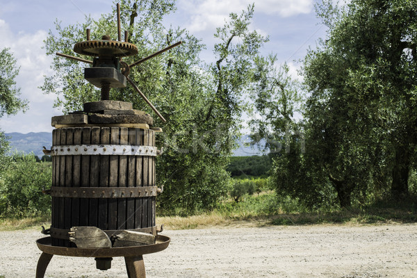 Vinatge olive press Stock photo © deyangeorgiev