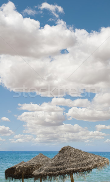 Large blue sky with clouds.Straw umbrellas Stock photo © deyangeorgiev