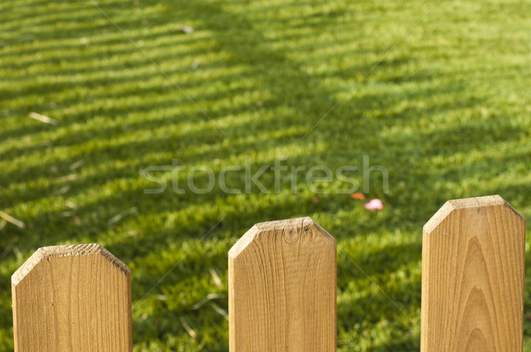 Zdjęcia stock: Dekoracyjny · ogrodzenia · zielone · ogród · wiosną
