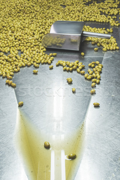 Sorting olives Stock photo © deyangeorgiev