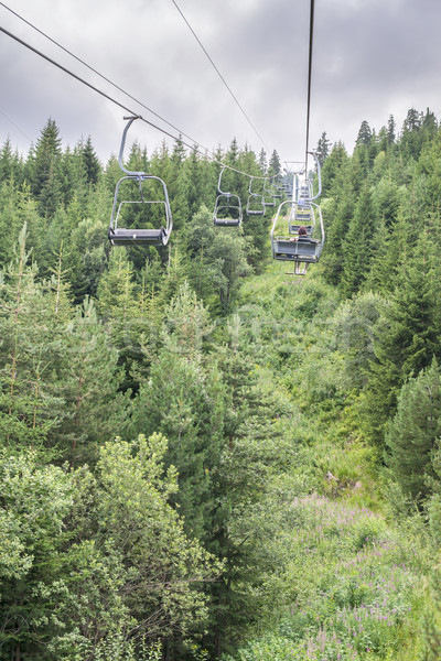 Lift in the mountain. Fir forest. Summer time Stock photo © deyangeorgiev