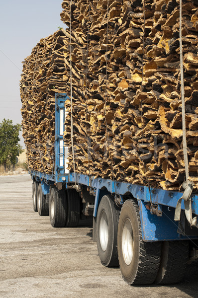 Piese plută scoarţă camion lemn pădure Imagine de stoc © deyangeorgiev