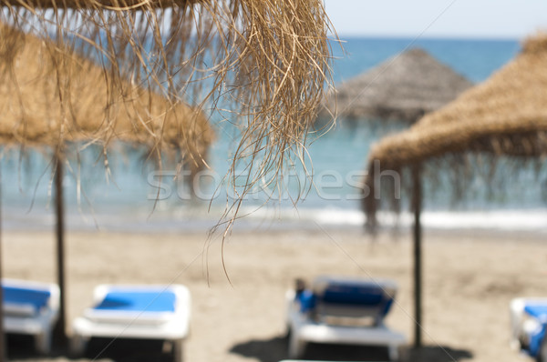 Straw beach umbrellas and sunbeds Stock photo © deyangeorgiev