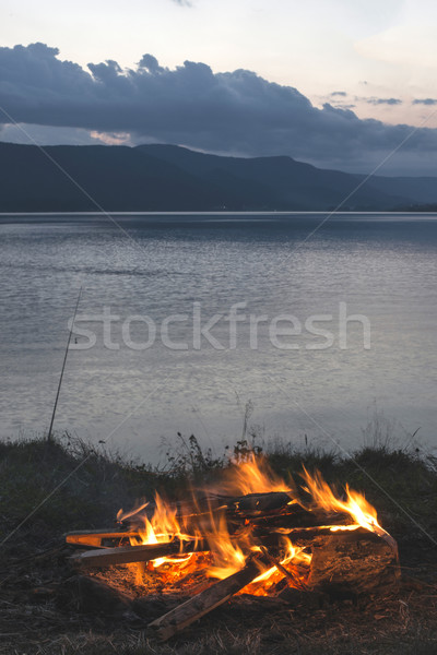 Feuer Natur Grill Wald Mann Licht Stock foto © deyangeorgiev