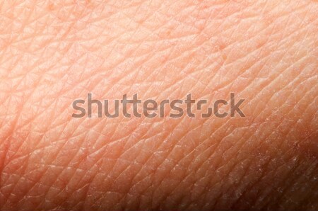 Human skin Stock photo © deyangeorgiev