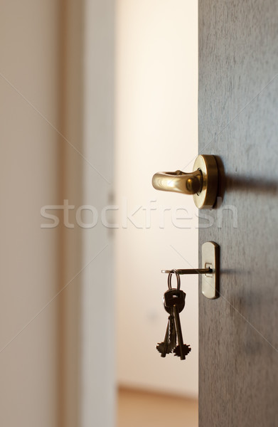 Puerta abierta claves inmobiliario casa casa puerta Foto stock © deyangeorgiev