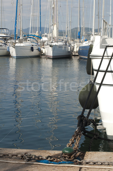 Anchored yachts in St. Tropez  Stock photo © deyangeorgiev
