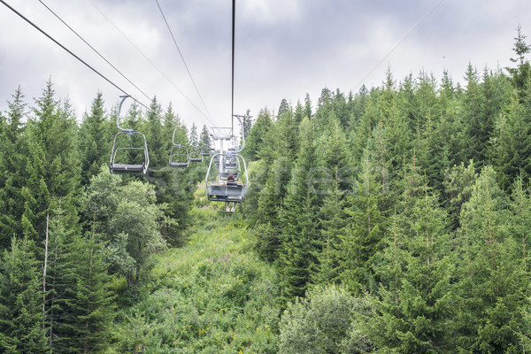 Lift in the mountain. Fir forest. Summer time Stock photo © deyangeorgiev