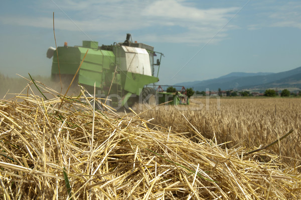 Tractor and combine harvesting Stock photo © deyangeorgiev
