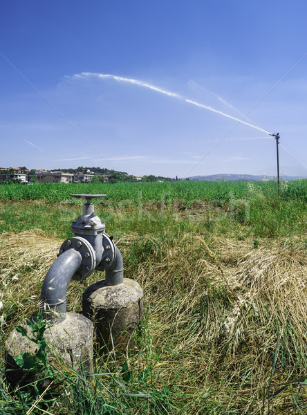 Agricol irigare stropitoare natură grădină Imagine de stoc © deyangeorgiev