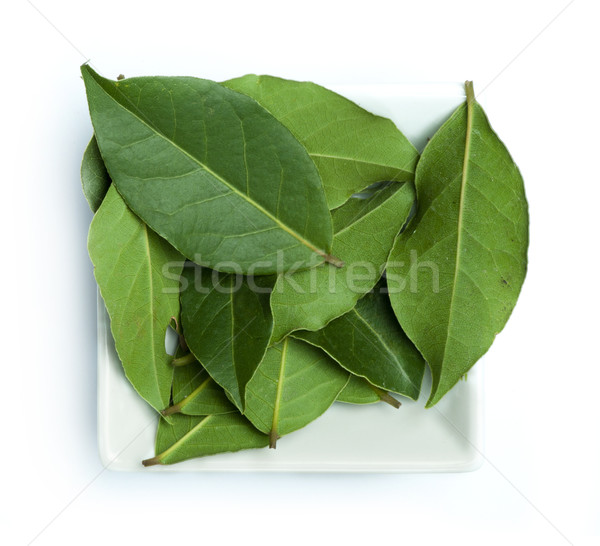 Bay leaf spice Stock photo © deyangeorgiev