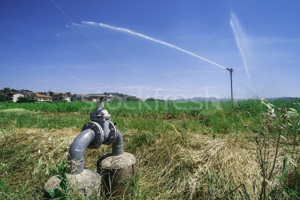 Rolniczy nawadnianie kropidło charakter ogród Zdjęcia stock © deyangeorgiev