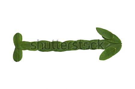 Natural leaf arrow. Leaf made. Stock photo © deyangeorgiev