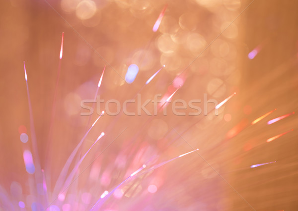 Optical fibers  Stock photo © deyangeorgiev
