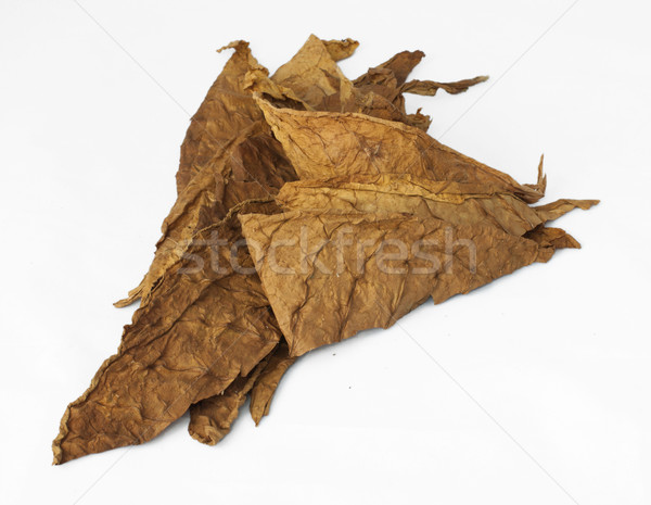 Gedroogd tabak bladeren details textuur Stockfoto © deyangeorgiev