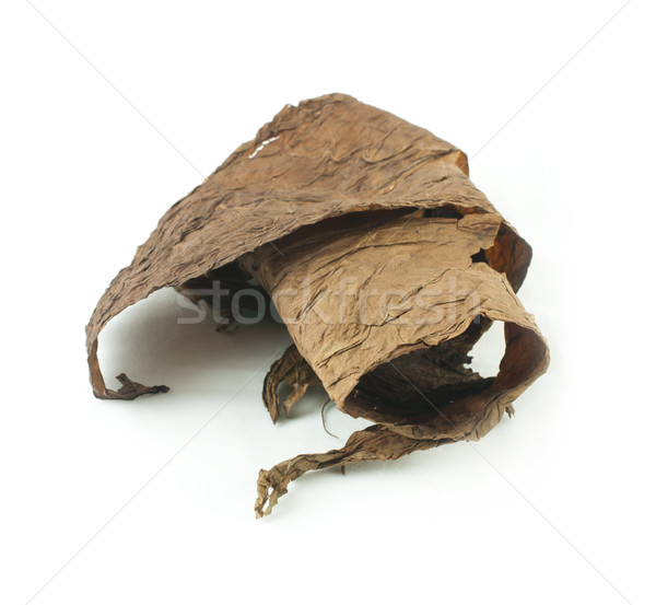 Dried tobacco leaves Stock photo © deyangeorgiev