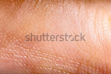 Close up human skin. Macro epidermis  Stock photo © deyangeorgiev