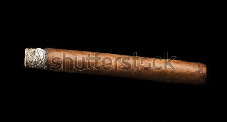 Stúdiófelvétel szivar fekete izolált füstös kubai Stock fotó © deyangeorgiev