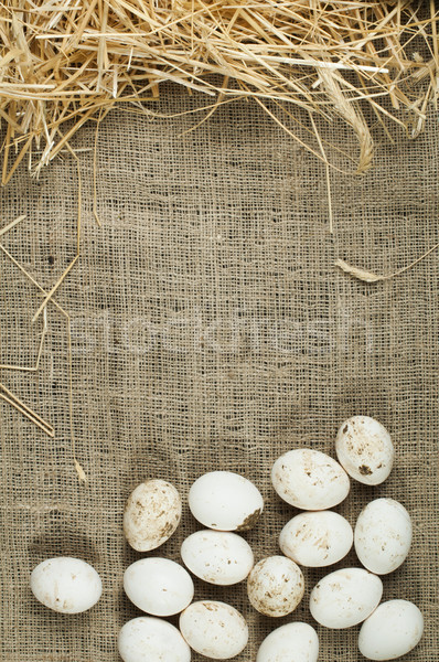 Orgánico blanco nacional huevos paja espacio de la copia Foto stock © deyangeorgiev