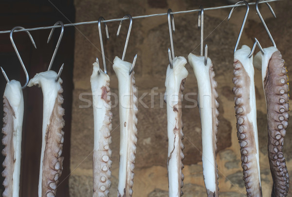 Ahtapot halat restoran plaj gıda deniz Stok fotoğraf © deyangeorgiev