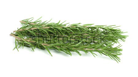 Sprigs fresh rosemary Stock photo © deyangeorgiev