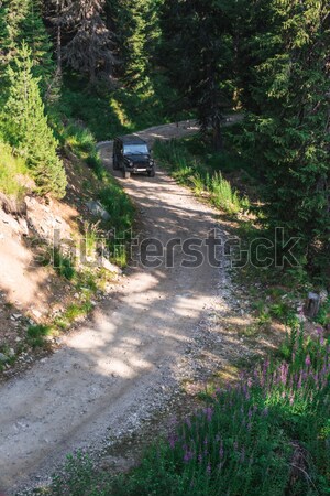 Offroad car on a mountain road Stock photo © deyangeorgiev