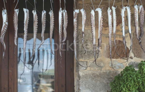 Ahtapot halat restoran plaj gıda deniz Stok fotoğraf © deyangeorgiev