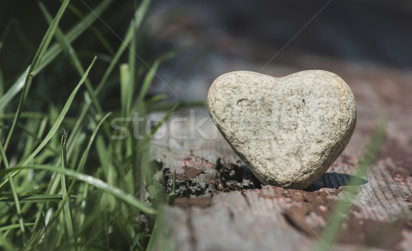 Foto stock: Pedra · forma · de · coração · madeira · grama · verde · natureza · coração