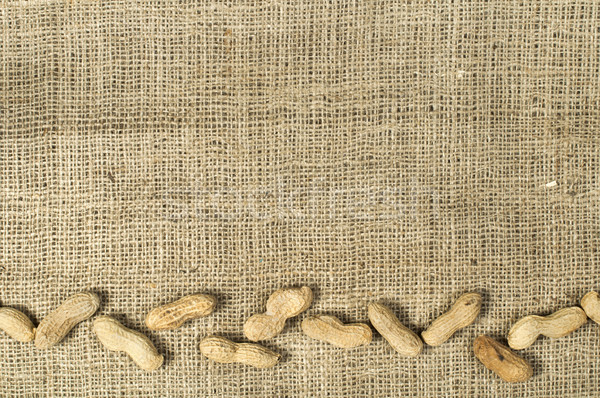 Erdnüsse Sackleinen Muscheln Gesundheit Saatgut Stock foto © deyangeorgiev