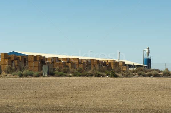 Factory production of pallets Stock photo © deyangeorgiev
