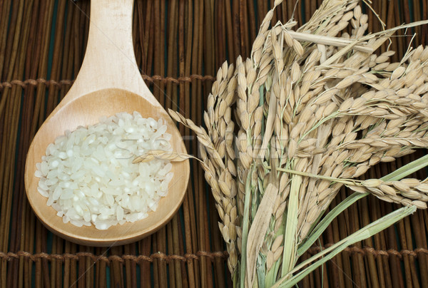 Сток-фото: риса · филиала · продовольствие · здоровья