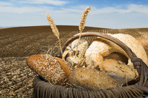 Brot Weizen Getreide Nutzpflanzen Essen Holz Stock foto © deyangeorgiev