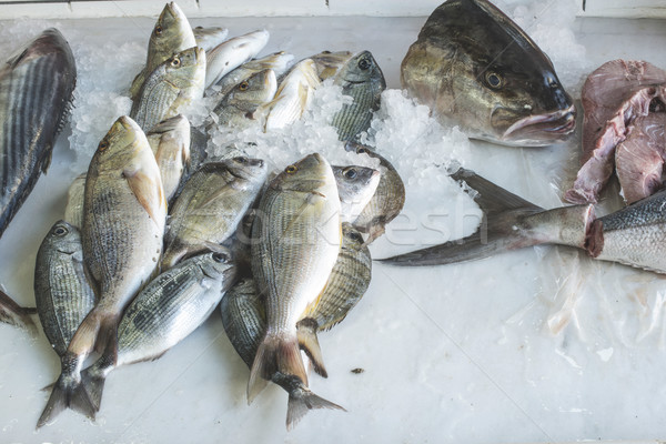 Fish on ice in the market Stock photo © deyangeorgiev