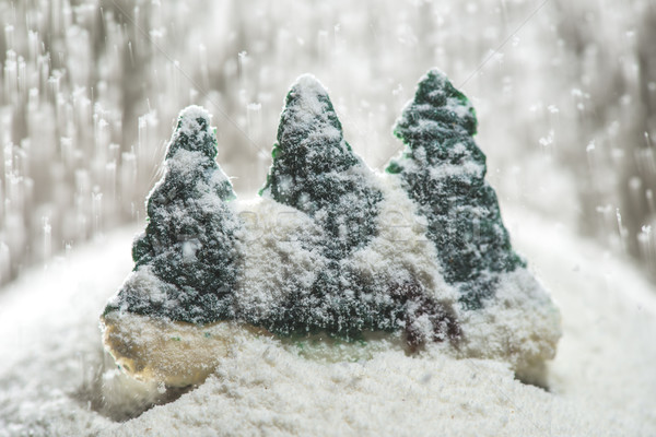 Pine trees during the winter Stock photo © deyangeorgiev