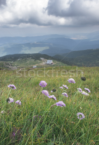 Hoog berg landschap dramatisch hemel Bulgarije Stockfoto © deyangeorgiev