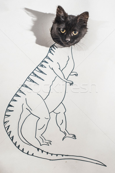 Stock photo: Strong cat conception drawing