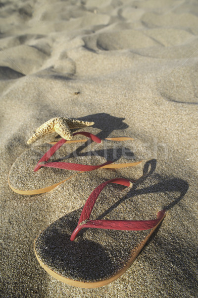 Sandals on the beach in the sand Stock photo © deyangeorgiev