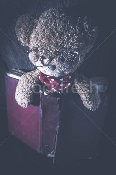 Kinderen teddybeer boek oude vintage glimlach Stockfoto © deyangeorgiev