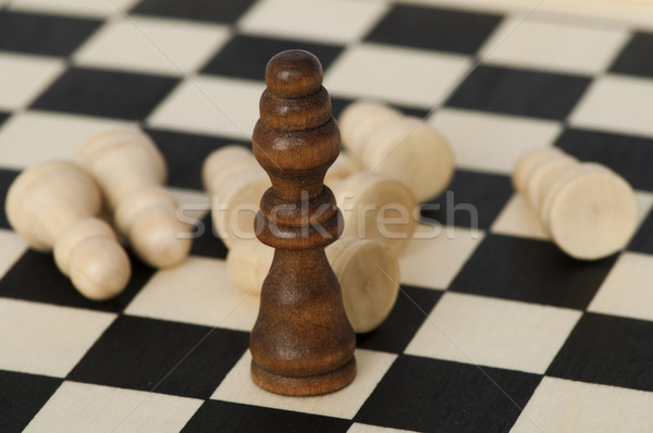 Concept of uniqueness and leadership Stock photo © deyangeorgiev