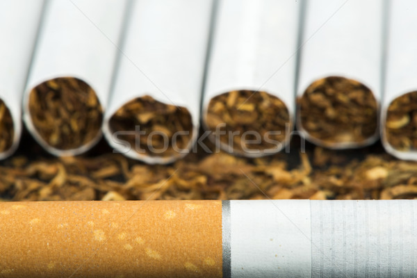 Cigarrillos fondo blanco cigarrillo contaminación Foto stock © deyangeorgiev