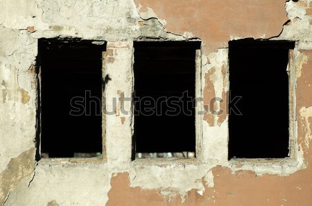 Very old building windows Stock photo © deyangeorgiev